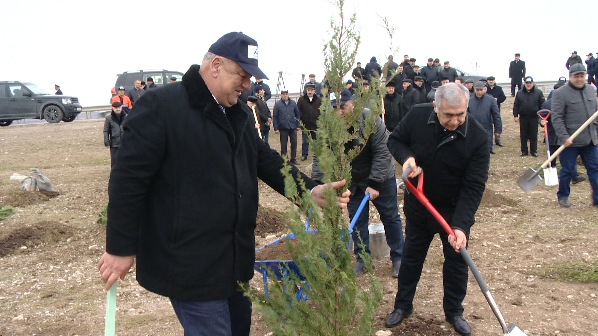 11 Bakı-Quba avtomobil yolunda 14 500 ədəd ağac əkildi - FOTO